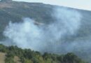 Седум пожари на отворено изминатите 24 часа во државата 