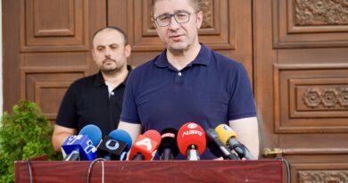 Мицкоски: Нема да има данок за немажени и неженети, сакав да го свртам вниманието дека има мал број на новородени дечиња и дека Македонија умира 