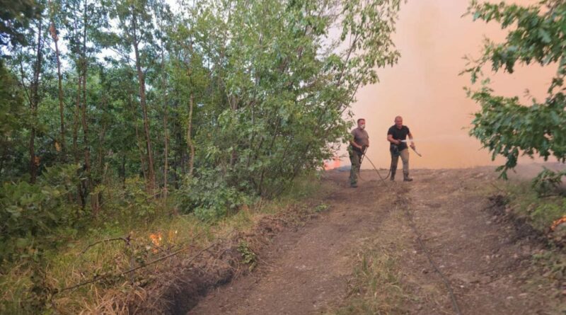 Тешка е борбата на пожарникарите со огнот во Дрисла, денес ќе се затрупува каде што чади 