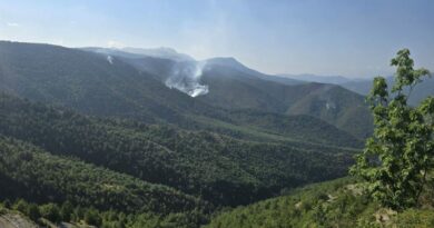 Активни пожари во Гевгелија, Тетово и Крушево, под контрола пожарот во село Трубарево