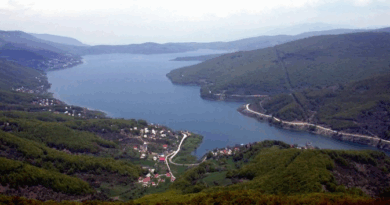 До 1 февруари забрана за риболов на сите видови риба на Мавровско Езеро и на Радика