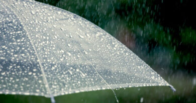 Доаѓаат нови обилни врнежи од дожд проследени со грмежи и засилен ветер