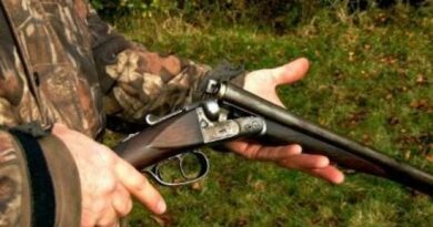 Скопјанец пукал во мета во викендичката: Не ја забележал мајка му па ја погодил во нога