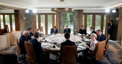 Протече ривалскиот европски мировен план за Украина од 24 точки