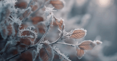 Повремено ќе врне, на планините снег – УХРМ со детална прогноза за денеска