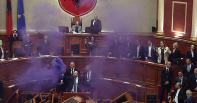 Албански пратеници се степаа со обезбедувањето, палеа факели во салата на парламентот