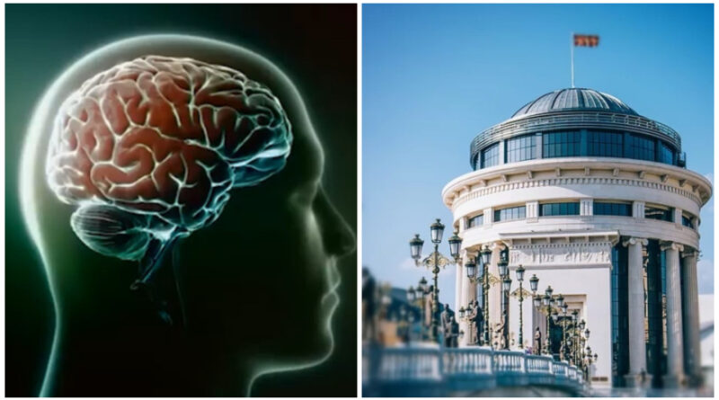 Дали било законско и етички – Обвинителството отвори предмет за извозот на мозочни ткива од земјава