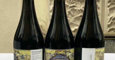 Во Италија промовирано ново вино „Пред дождот“ инспирирано од филмскиот класик на Манчевски