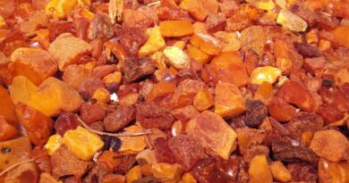 Пронајден уникатен килибар стар помеѓу 30 и 50 милиони години