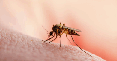 Во февруари регистрирани два случаи на маларија во Македонија – лицата претходно патувале во Африка