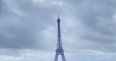 Дел од Ајфеловата кула оди на аукција: Само оние со „длабок џеб“ ќе можат да си го дозволат ова парче