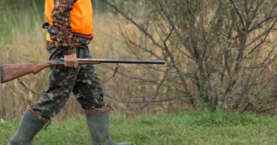 Вработени украле 2,5 милиони денари од ловечко друштво