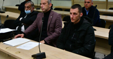 Снимка по снимка, во судница се „црта“ тажната слика за насилството врз Ивана