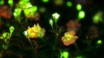 Научниците создадоа растенија што светат во темница 