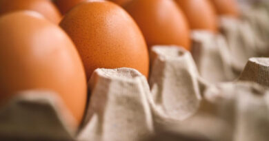 Спречен шверц на над 40 тони небезбедни јајца пред Велигден 