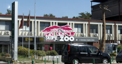 Приказни за животните, музички хепенинг… Скопје годинава одбележува сто години од Зоолошката градина