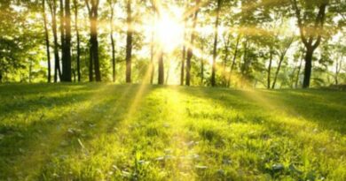 Сончево и топло утро, попладне повремен дожд и грмежи