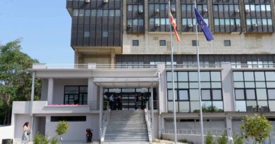 Родителите ќе можат и во сабота да вадат дозволи за патување на деца во странство