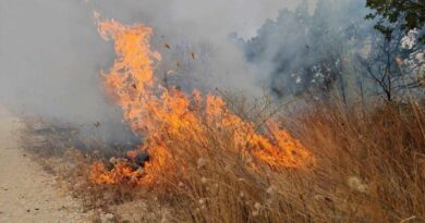 Пиромани го подметнале пожарот во Штип – се трага по две лица