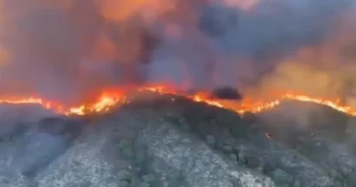 Шпанските спасувачи трагаат по 23 исчезнати во пожарот кој однесе 12 жртви