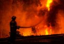 Шпанската влада прогласи вонредна состојба: Шумските пожари им се закануваат на населбите во близина на Мадрид и во покраината Авила