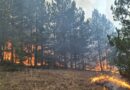Од палење гуми во двор изби опасен пожар кај делчевско Бигла, гаснар и ер трактори, а потпалувачот и пожарникар завршиле во болница