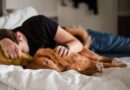 Спиењето со кучиња во ист кревет не го влошува сонот