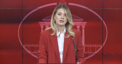 Митева: Владата формира Национален комитет за заштита и безбедност на новинарите, до 15 декември 2026 година ќе се изработи Акциски план