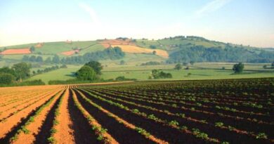 Националната мрежа на земјоделци бара системски решенија за македонскиот аграр