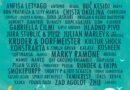 Над 50 музички изведувачи во најмасовниот Д фестивал во Дојран 
