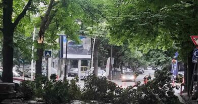 Дрво падна врз жена во Скопје, итно пренесена во болница 
