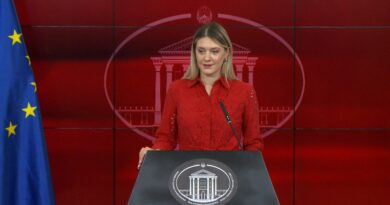 Одморалиштето „Пониква“ ќе биде отстапено за нега и рехабилитација на повредените во пожарот во Кочани, соопшти Митева 