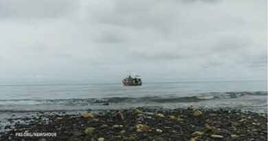 Голема студија: Подводното рударство го загрозува опстанокот на жителите на морското дно 