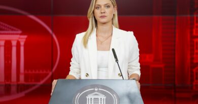 Митева: Владата донесе одлука за прогласување кризна состојба на територијата на државата заради зголемена појава на пожари, со времетраење од 30 дена￼