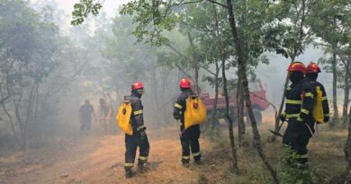 Најсериозен е пожарот во Николиќ, Грција испрати два канадери за гаснење на пожарот кај Дојран 