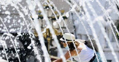 Сончево и многу топло до 39 степени, освежување од петок 
