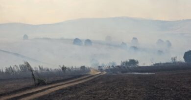 Во пожар во скопски Илинден се запали црква, густиот  чад предизвика сообраќајка на автопатот кон Куманово 