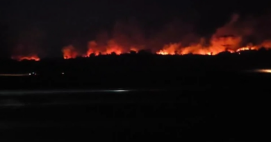 Фото: Вечерва огромен пожар кај Катланово 