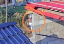 УАПСЕН ТЕЛОХРАНИТЕЛОТ НА ЗОРАН ЗАЕВ ПОРАДИ ПОДМЕТНУВАЊЕ НА ПОЖАР КАЈ БРАНАТА ВОДОЧА? 
