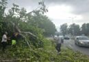 Невреме во Скопје, материјални штети и пожари, нема пријавено повредени
