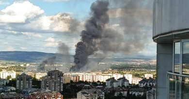 Пожар на Вардариште ги остави Аеродром и дел од населбата Ново Лисиче без струја