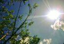 Сончево и топло со локална облачност, за викендот температурите во опаѓање 