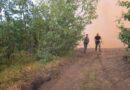 Тешка е борбата на пожарникарите со огнот во Дрисла, денес ќе се затрупува каде што чади 