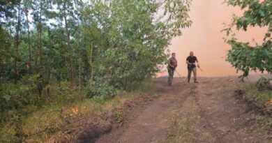 Тешка е борбата на пожарникарите со огнот во Дрисла, денес ќе се затрупува каде што чади 