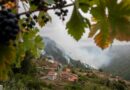 Пожарникарите и војската во Шпанија се борат со пожарите 