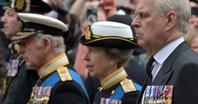 Кралот Чарлс му ја одзема титулата принц на Ендру и го исфрла од палатата