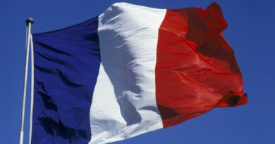 Франција воведува специјални розови регистарски таблички