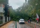 Паднато дрво го блокира влезот на ОУ „Киро Глигоров“ – учениците влегуваа од другата страна 
