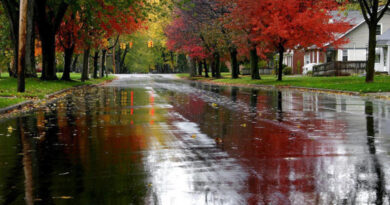 Влажен бран над Македонија – најавени обилни и поројни дождови