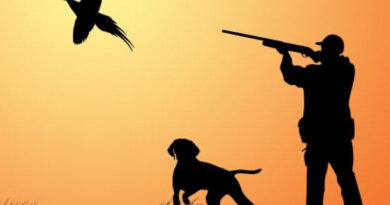 Ловџија од Конче починал откако во него бил испукан истрел од небрежност